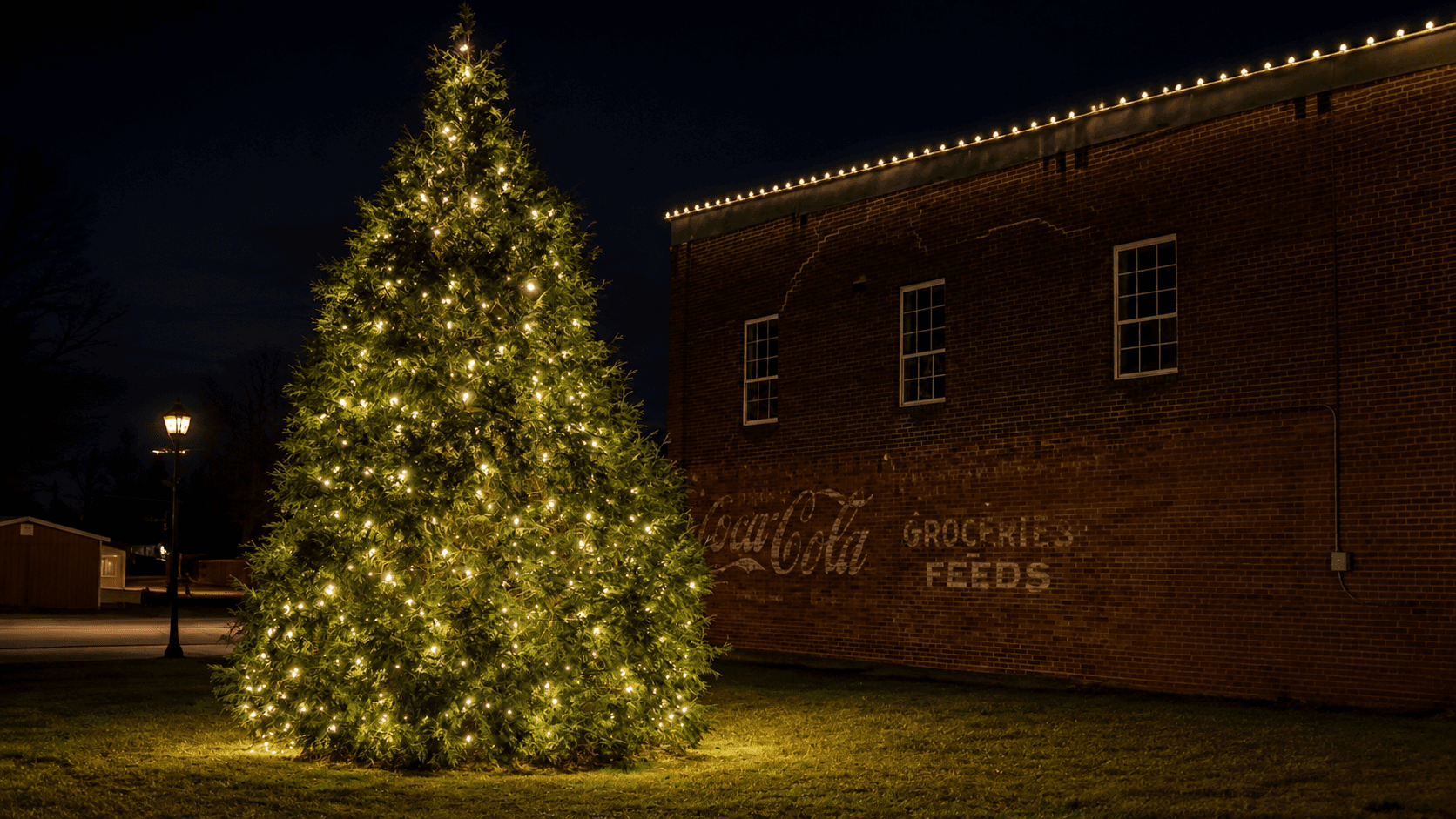 Professional holiday tree and architectural lighting at night