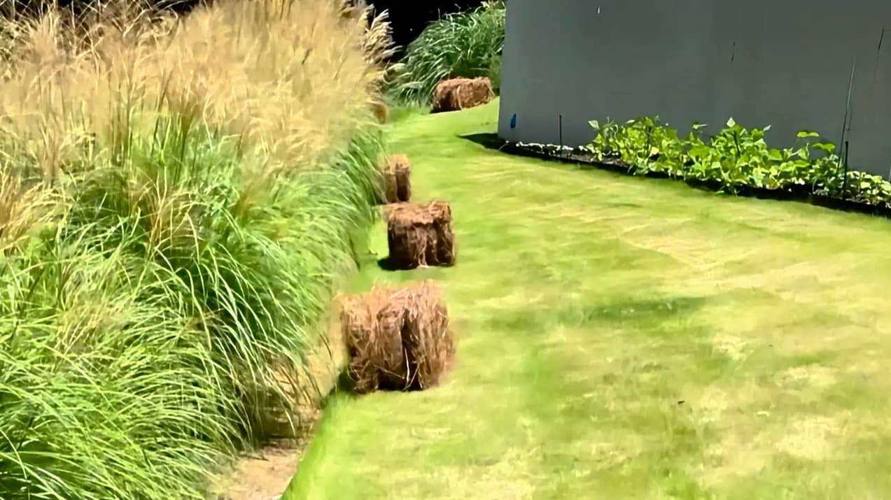 Residential property with professional landscape enhancements after dark